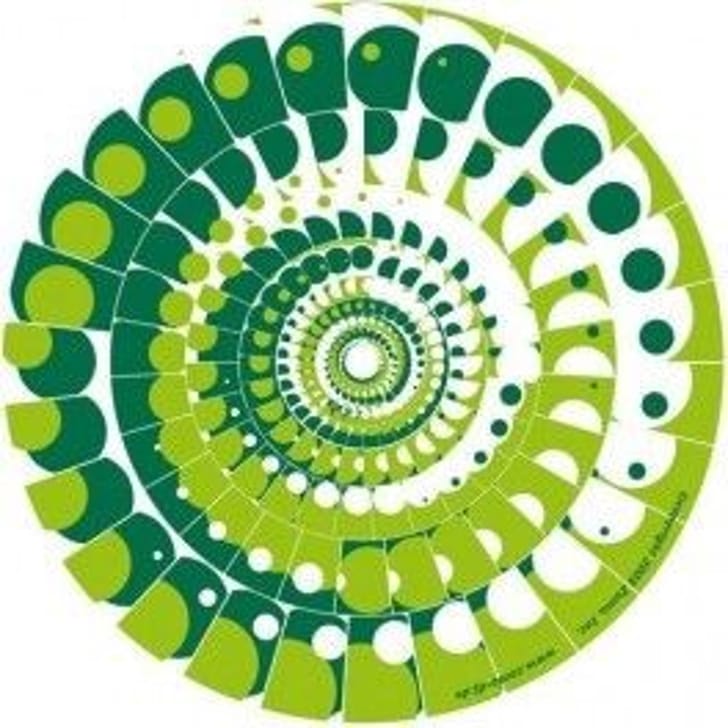 Zomo SLIPMAT MOON GREEN