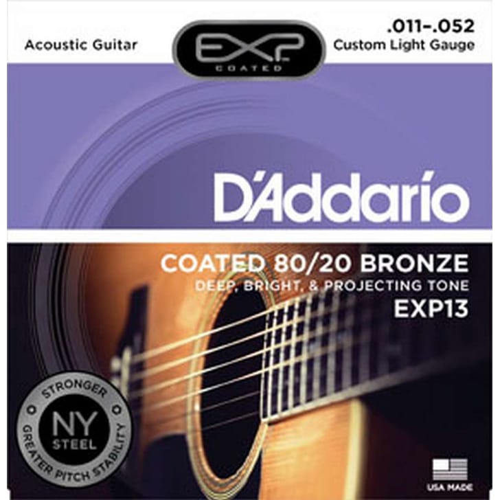 D'Addario EXP13