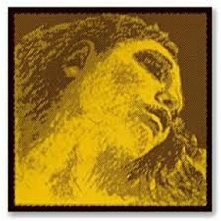 Pirazzi 415421 SOL Evah Gold