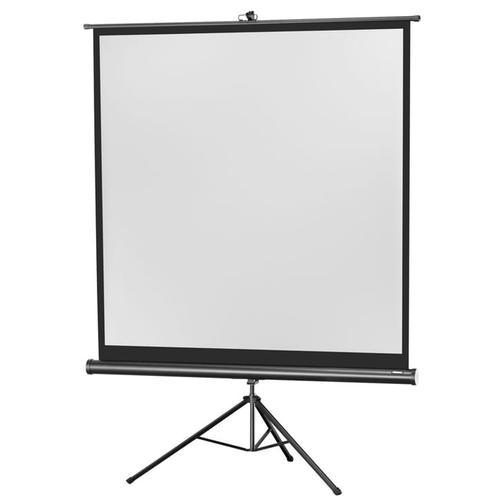 Celexon Economy 184X184 1:1