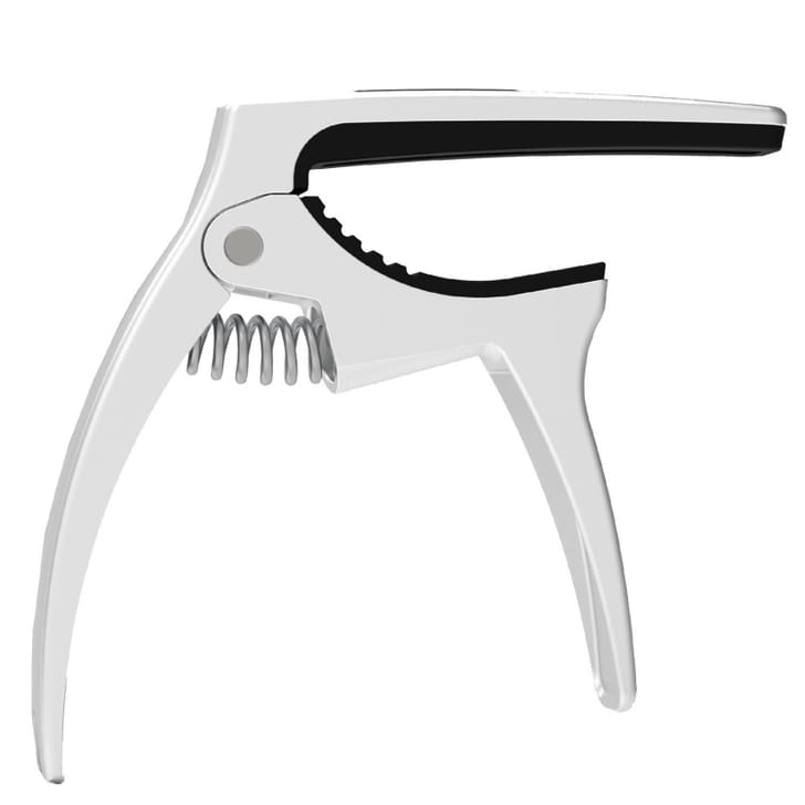 Arguistar CAPO501 Silver