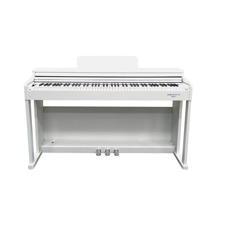 Echord DPX100 Polished White