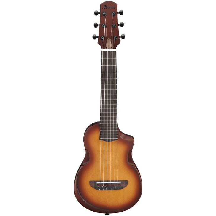 Ibanez AUP10NOLB Open Pore Light Brown Sunburst