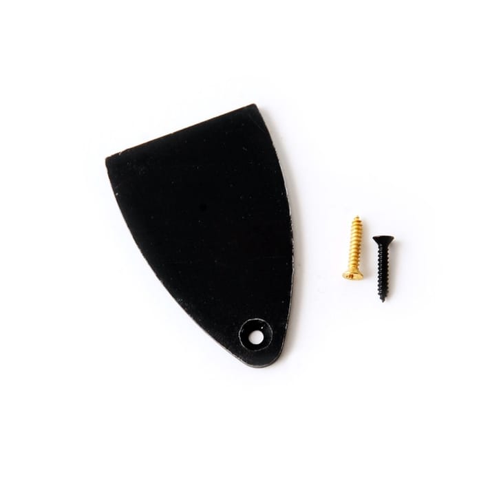 PRS Truss Rod Cover & Screws