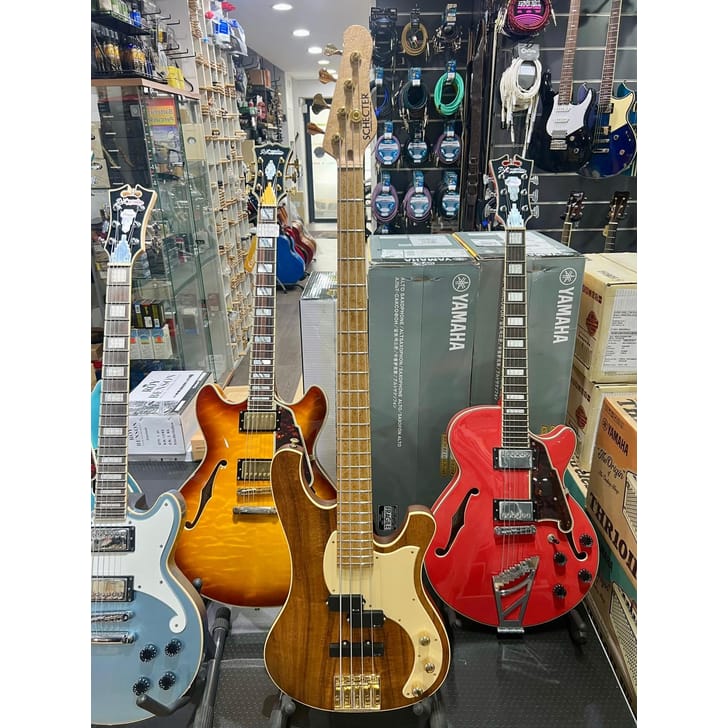 Schecter Custom Shop Stargazer Bass